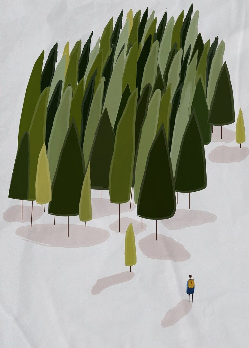 nature, art, boy, artwork, outdoors, forest, aesthetic wallpaper, iphone wallpaper, forest, forest, iphone wallpaper, iphone wallpaper, iphone wallpaper, iphone wallpaper, iphone wallpaper